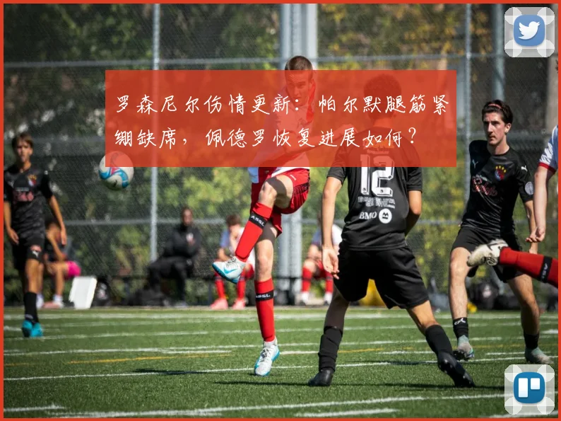 罗森尼尔伤情更新：帕尔默腿筋紧绷缺席，佩德罗恢复进展如何？